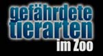 Erstkommunion